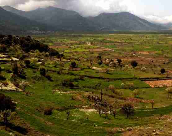 PLATEAU OF LASSITHI