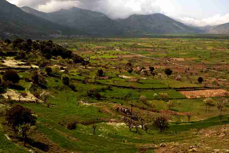 PLATEAU OF LASSITHI